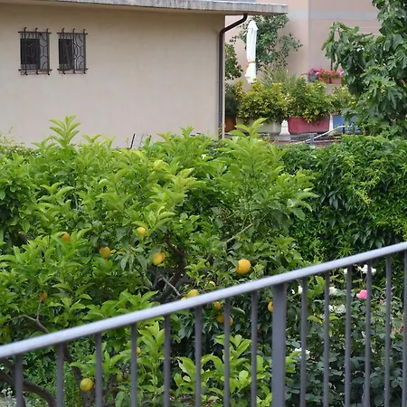 Liguria Mare Riva Ligure